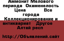 Аммонит Мелового периода. Окаменелость. › Цена ­ 2 800 - Все города Коллекционирование и антиквариат » Другое   . Алтай респ.